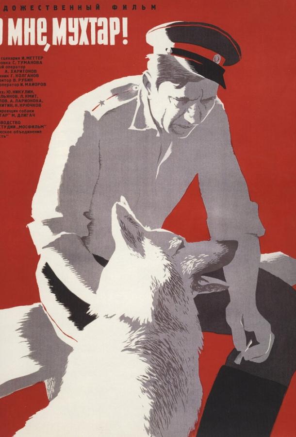 Фильм Ко мне, Мухтар! 1964 смотреть онлайн с Юрием Никулиным и Сергеем Головановым